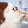 MON2SUN Chicken Collagen Sticks for Dogs, 5 Inch Teeth Cleaning