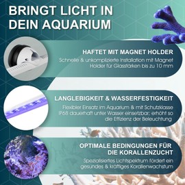 Tunze LED ECO CHIC 8811 8811.000 Marine 1 Stück (1er Pack)