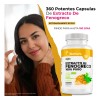 BioHerb | Fenogreco Extracto 100% Puro (360 Capsulas 500mg) [Potente
