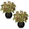 2 Packs Artificial Plants in Black Pot, 12" Faux Plant