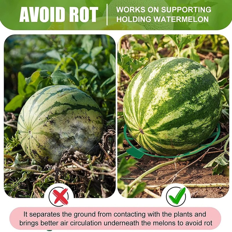 10Pcs Melon, Pumpkin Support, Watermelon Holder Stand Trellis, Plastic Stand