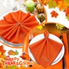 Sliner 12 Pcs Fall Thanksgiving Cloth Napkins Set 17 x