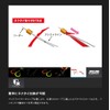 JACKALL (ジャッカル) Binbin Hook Musou Tie Hook Set 2 Hooks,