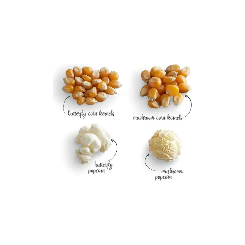 Maíz palomero Mushroom Jumbo 1kg Palomitas Gigantes Popcorn