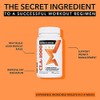 BELDT Labs BELDT CLA 1000 Conjugated Linoleic Acid from Safflower