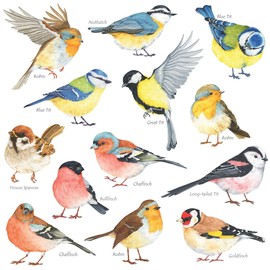 DECOWALL DS-8038 Small Birds Wall Sticker Wall Decoration for Living Room Bedroom Children's Room (Small)