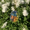 Aurora Boreale Crystal Sun 1-Hole Rainbow Crystal Feng Shui 30%