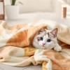 Lahome Terracotta Throw Blanket Soft Cozy Fluffy Warm Throw Blanket