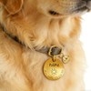 Placa de Identificación Personalizada para Perros y Gatos – –