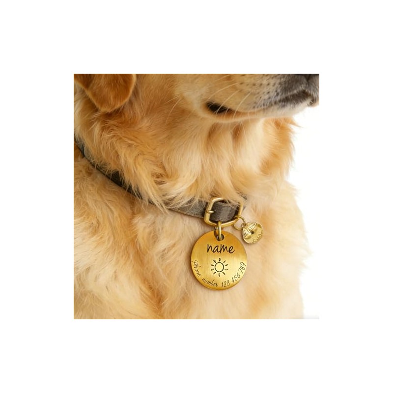 Placa de Identificación Personalizada para Perros y Gatos – –