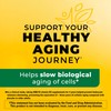 Nature Made Vitamin D3 2000 IU (50 mcg), Vitamin D