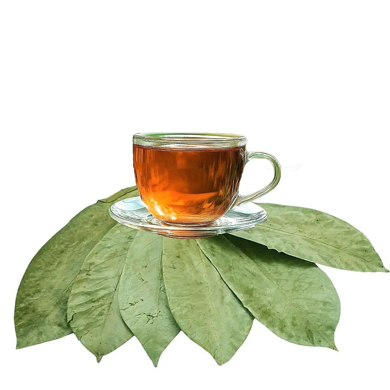 Graviola Tea Company® Wildcrafted Graviola Soursop Leaves (±25 g /