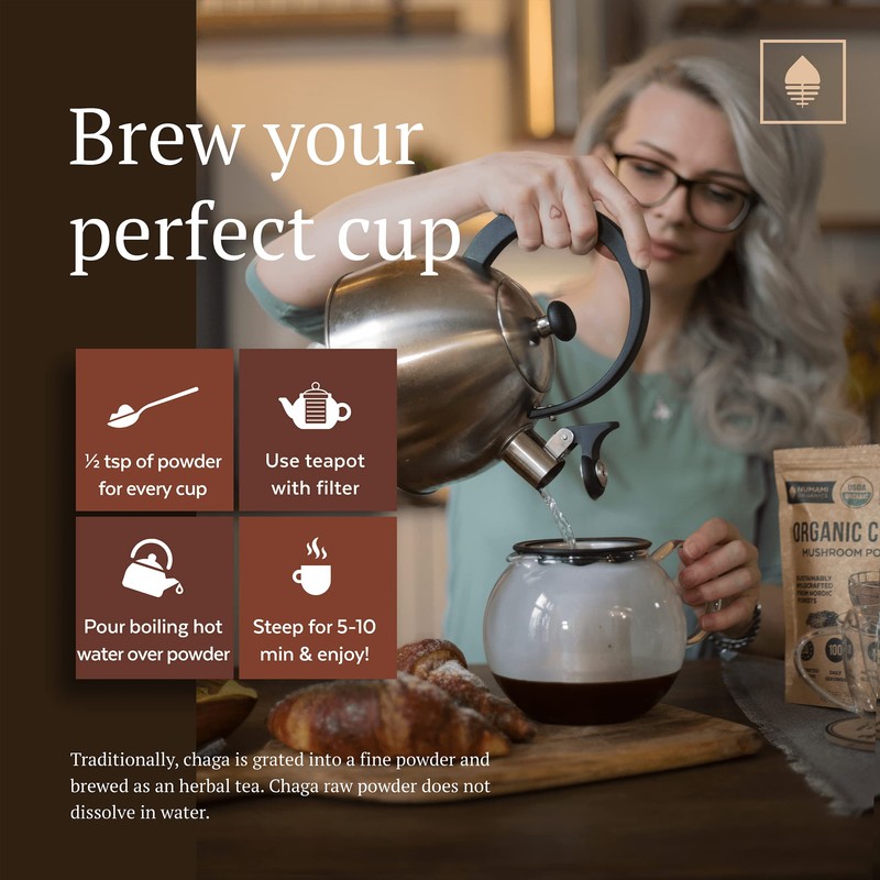 Organic Chaga Mushrooms Powder - Fine Powder to Make Chaga