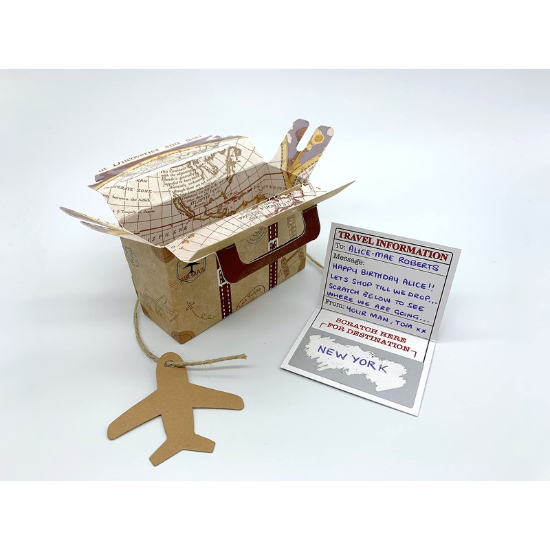 DIY Surprise Mini Reversible Suitcase & Mini GOLD effect Passport