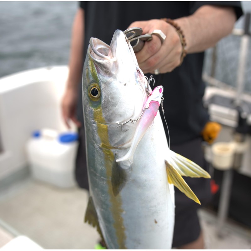 Flowfull Works N013 CHERRY BERRY Noid, 1.1 oz (30 g)