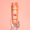 L'Oréal Paris Shampoo para Cabello Dañado, Dream Long Elvive, 680