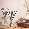 Brakula Eucalyptus & Mint Reed Diffuser Set, Home Fragrance Oil