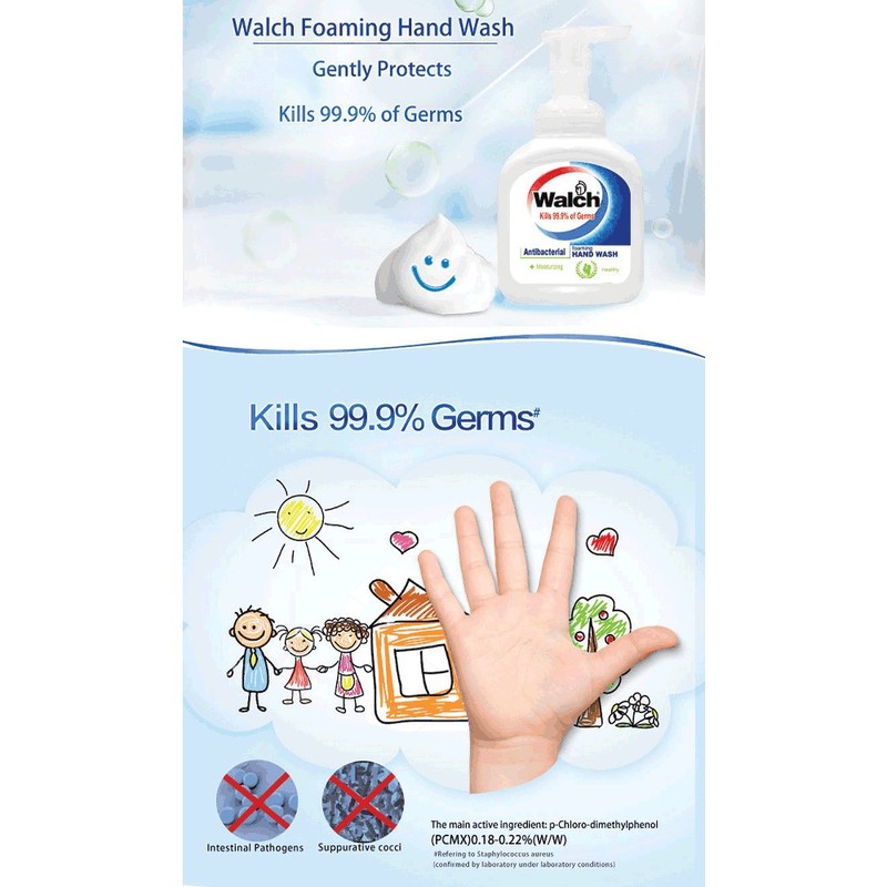 Walch Foaming Hand Wash 290ml - Moisturizing