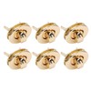 10 Sets/Pack Purse Lock Classic Style 2.1x2.7cm / 0.8x1.1in Replaceable