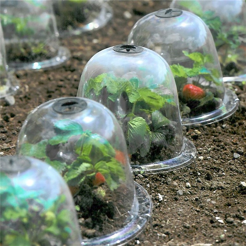 6PCS Reusable Garden Plant Cloche Plastic Dome Protective Seedling Covers