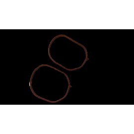 6.7 Power-Stroke Ford Upper Intake Manifold Gasket 2pk