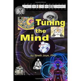Tuning the Mind: Geometries of Consciousness - Holonomic Brain Theory and the Implicate Order