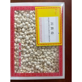 IntotheNature // No Sulfur /Bulbus Fritillariae Cirrhosae /2oz to 16oz - 8 oz