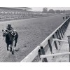 SECRETARIAT 8 x 10 PHOTOS ~ Belmont Stakes ~ Jockey