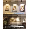 EZVALO Spotlights Indoor with Remote,5500mAh Rechargeable Uplighting Indoor, Wireless LED