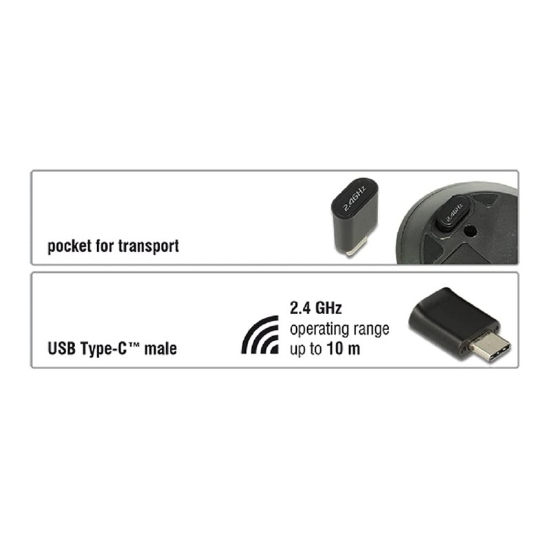 DeLOCK 12526 RF Wireless Optical 1000DPI Ambidextrous Black - mice