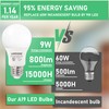 LAMPHOME 8-Pack Daylight White LED Bulbs - Brighten Your Bedroom