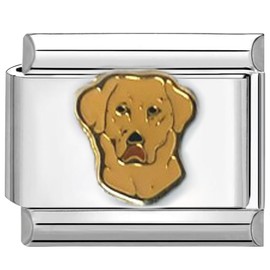 UNY JEWEL Italian Charm 9mm Stainless Steel Labrador Retriever Dog Design Modular Charm Link for Bracelets Unisex Jewelry
