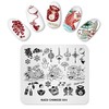 Alexnailart Nail Art Stamping Plate Chinese Style Summer Template Image