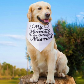 MAXIQI Wedding Dog Bandana, My Humans are Getting Married Dog Bandanas, Premium Dogs Wedding Outfit as an Engagement Gifts for Couples