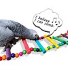 DS. DISTINCTIVE STYLE Bird Ladder Toys Coloured Flexible Parrot Swing