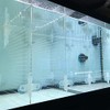 Acrylic Aquarium Divider Kit 5.5/10 / 20L / 20H /