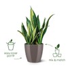 elho Brussels Diamond Round 18 - Flower Pot Indoor -