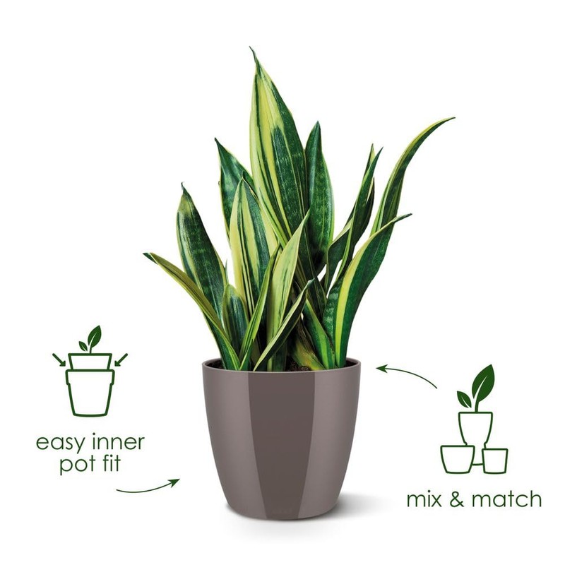 elho Brussels Diamond Round 18 - Flower Pot Indoor -