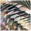 Framar Ethereal Pop Up Hair Foil, hojas de papel de