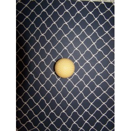 Goodwin Netting 20' X 16' GOLF IMPACT BARRIER BACKSTOP COLLEGE NETTING SPORT NYLON  (3/4)  # 15