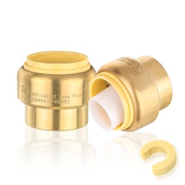 HeSun 2-Pack Pushfit Plug (End Cap), 3/4-Inch Push to Connect Plumbing Fittings with Disconnect Clip, Brass Push-fit Fittings for PEX, Copper, CPVC, PE-RT Pipes