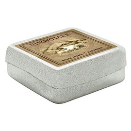 MyTinyWorld Dolls House Miniature Apothecary Ningyotake Fungi Sepia Box