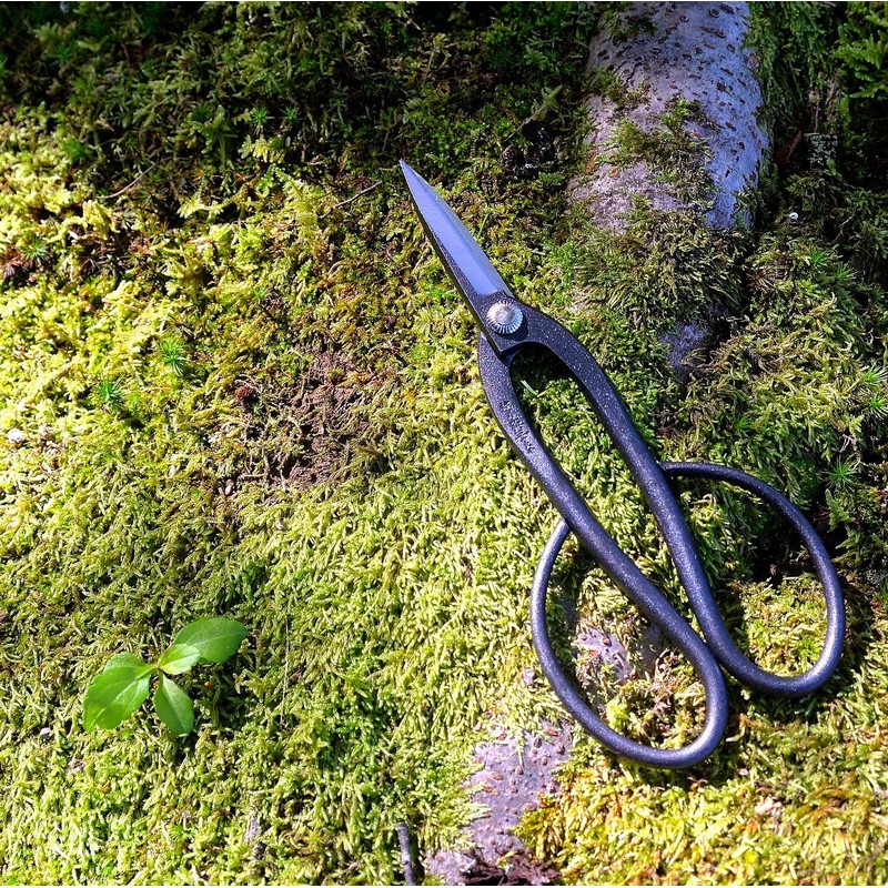KAKURI Professional Bonsai Scissors Long Handle, 7.8" (200 mm) Japanese