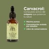 ORE Organic Oregano Oil Supplement, 100% Natural, 80% Carvacrol, Lippia