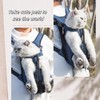 Liyquint Adjustable Portable Pet Carrier Backpack for Small Medium Dogs