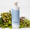 NOUGAT Purifying Freshness Shampoo, Regrowth & Anti Hair Loss, Hydrating