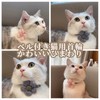Liroyal Cat Collars (2 Pack) Pet Puppy Collars with Bell