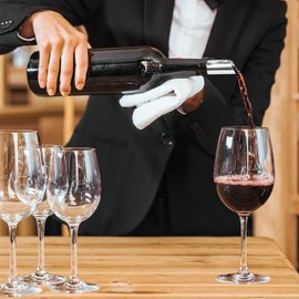 Pack of 20 Wine Pourers with 2 Wine Stoppers, Wine Pourer Drip-Free Wine Pourer Pouring Aid Plates Reusable Pourer for Birthday Wedding Christmas New Year Party Accessories