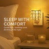 MeplLivs Warmers Pluggable Fragrance Warmer- Decorative Plug-in for Warming Scented