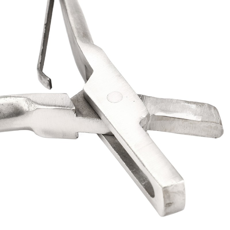 Pig Ear Tag Plier Stainless Steel Animal Ear Notcher with